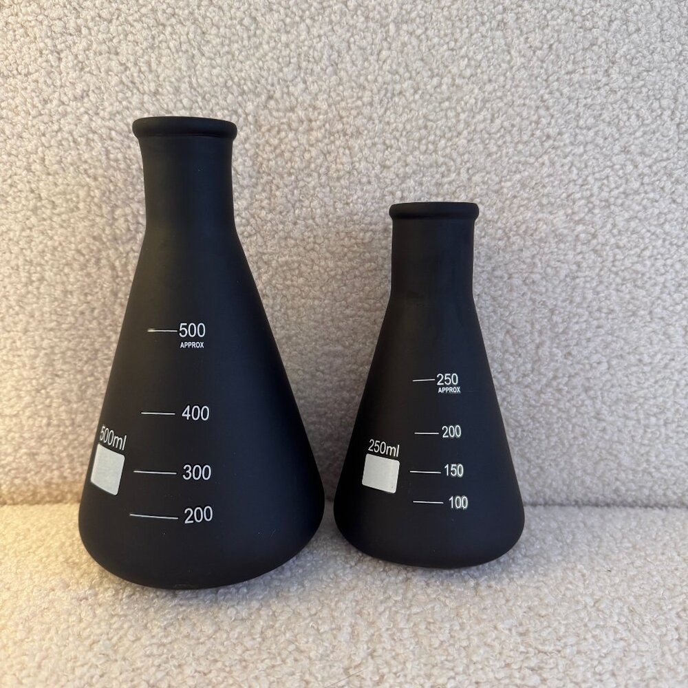 NWT! Set of 2 Ashland Gothic Garden Halloween Large Black Glass Conical Flasks